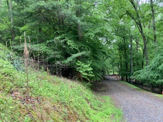 403967 Ellijay Land