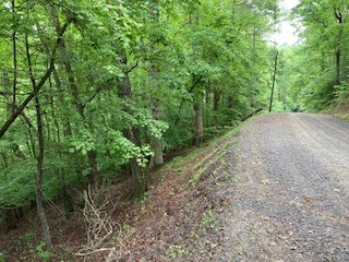 403967 Ellijay Land