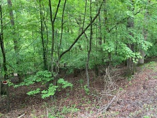 403967 Ellijay Land