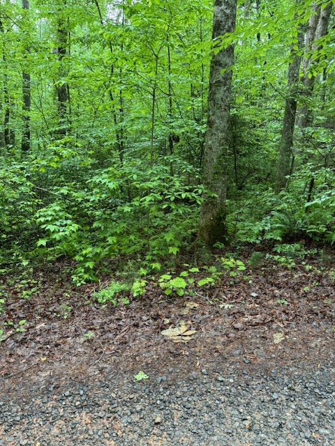 403973 Ellijay Land