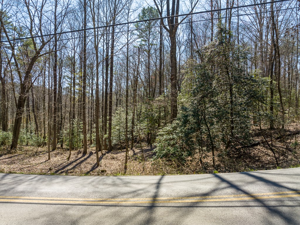 404002 Ellijay Land