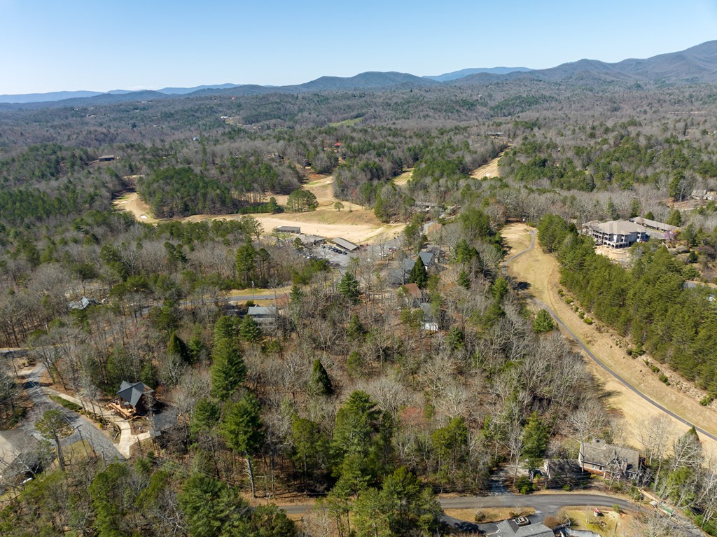 404003 Ellijay Land