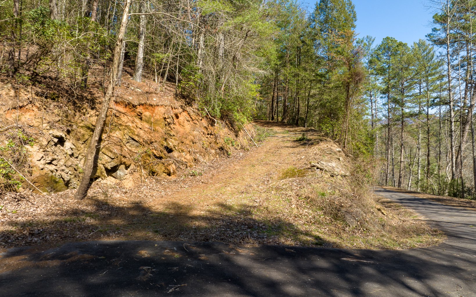 404004 Ellijay Land