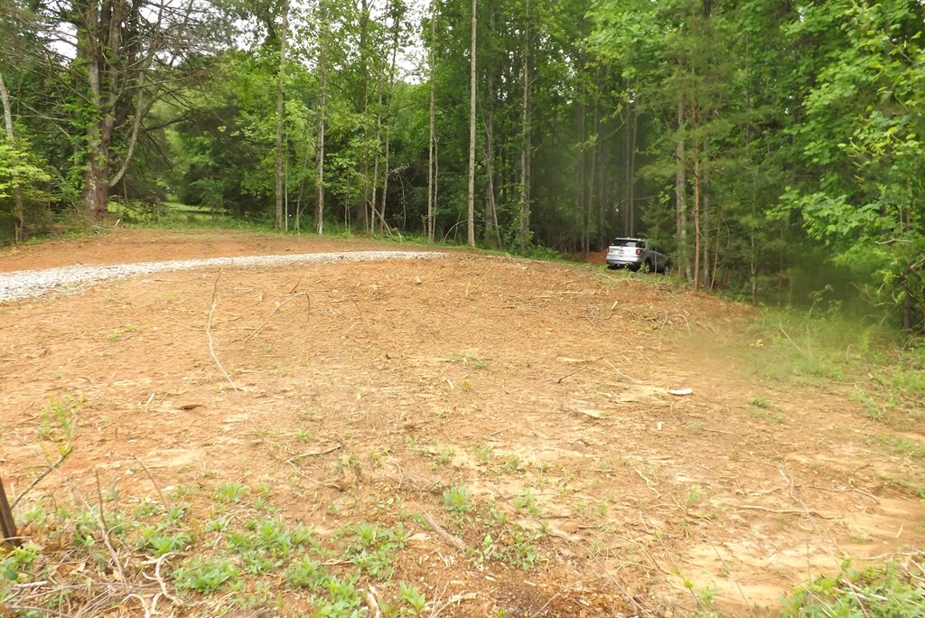 404005 Blairsville Land