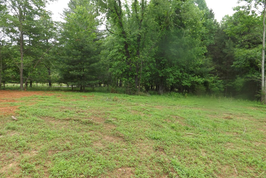 404005 Blairsville Land