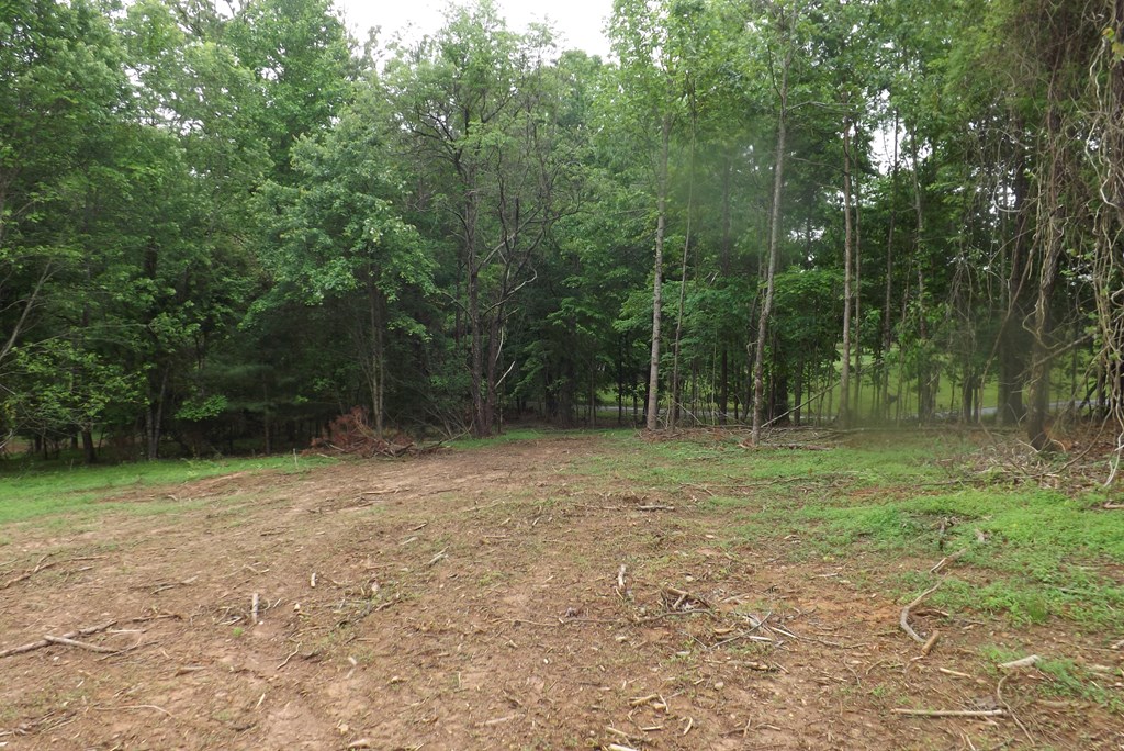 404005 Blairsville Land