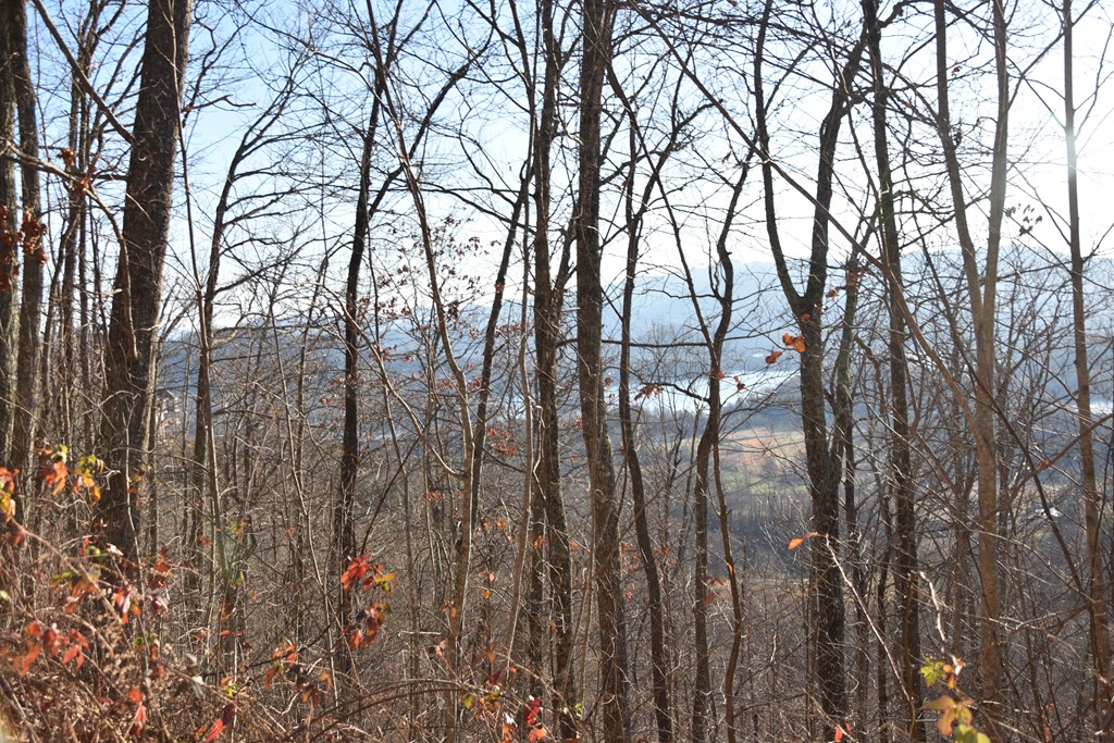404032 Hayesville Land