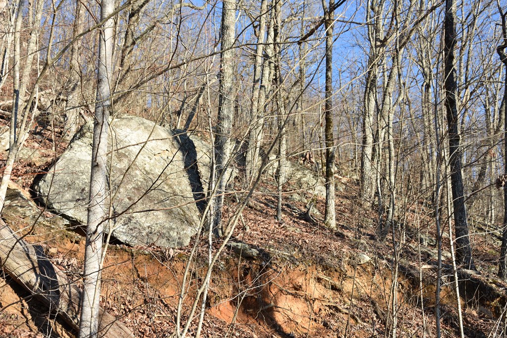 404032 Hayesville Land