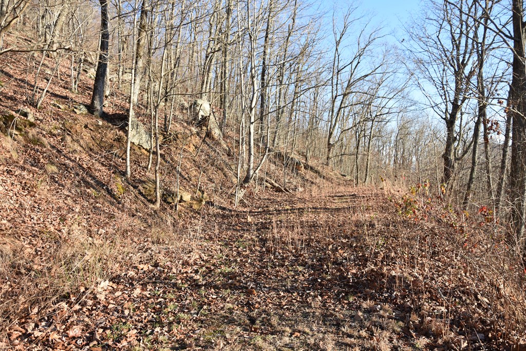 404032 Hayesville Land