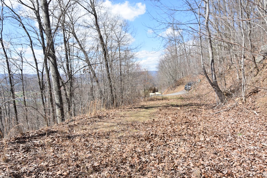 404032 Hayesville Land