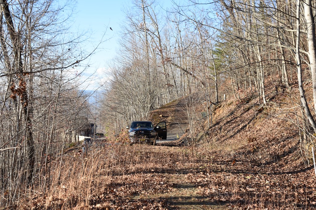 404032 Hayesville Land
