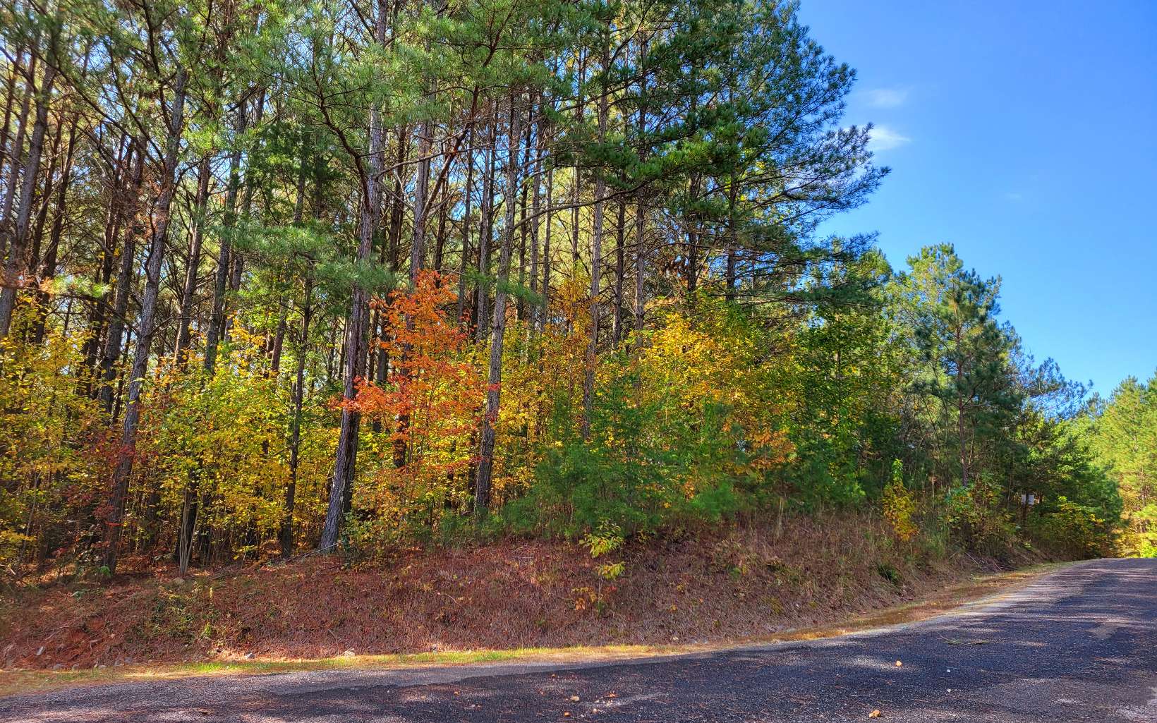 404049 Ellijay Land