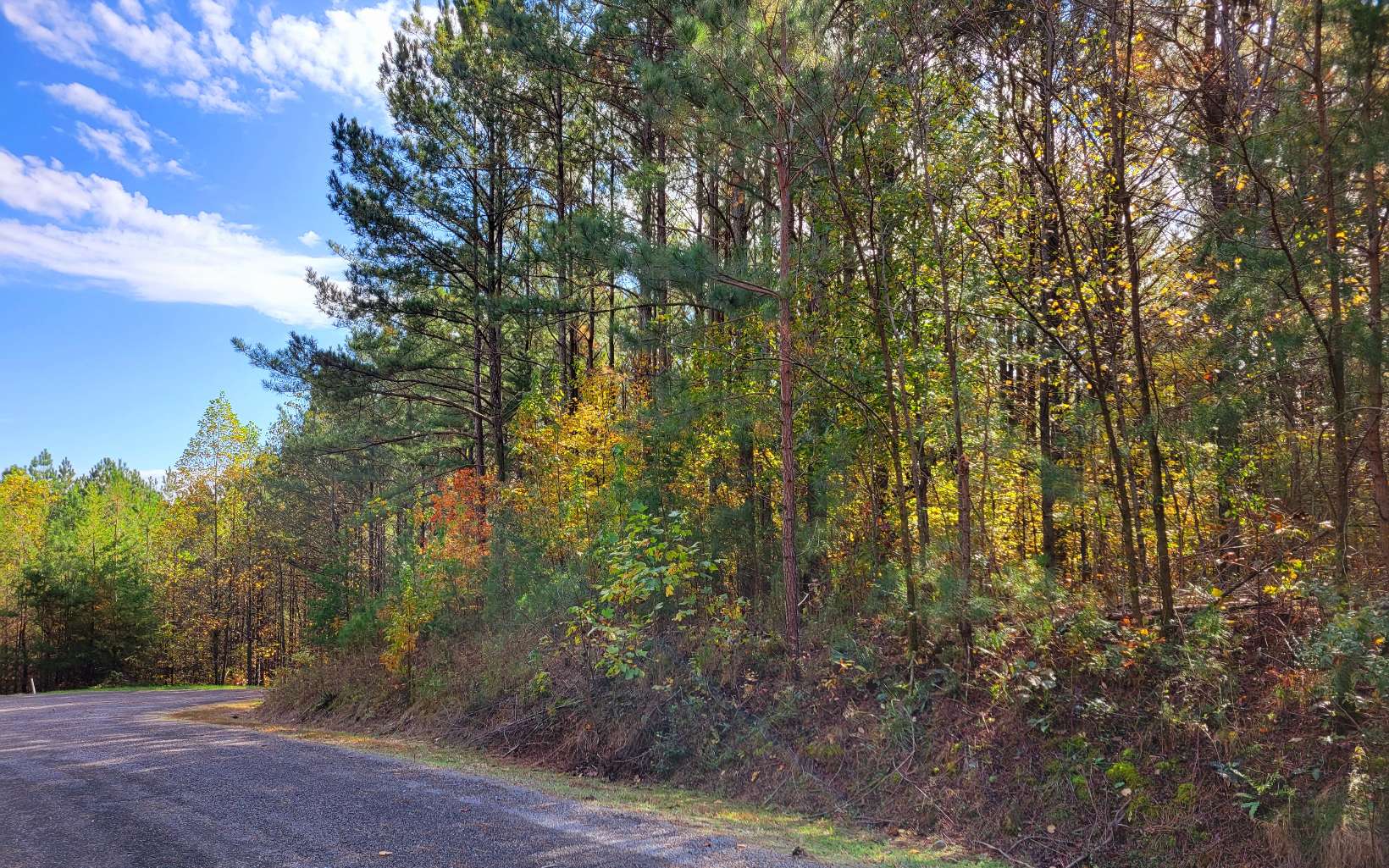 404049 Ellijay Land