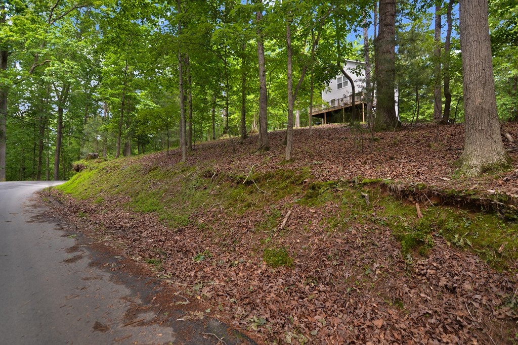 404073 Ellijay Residential