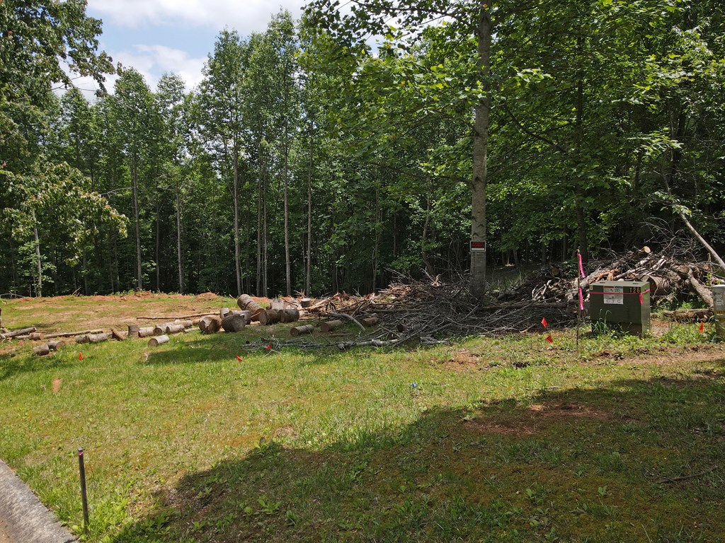 404151 Blairsville Land