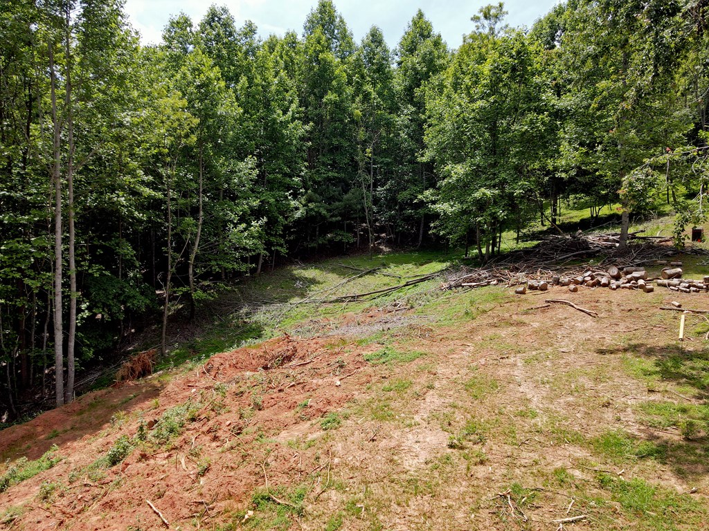 404151 Blairsville Land