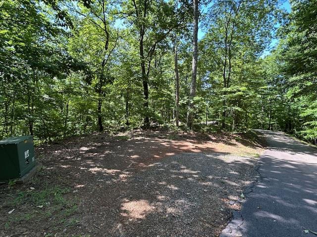 404218  Land
