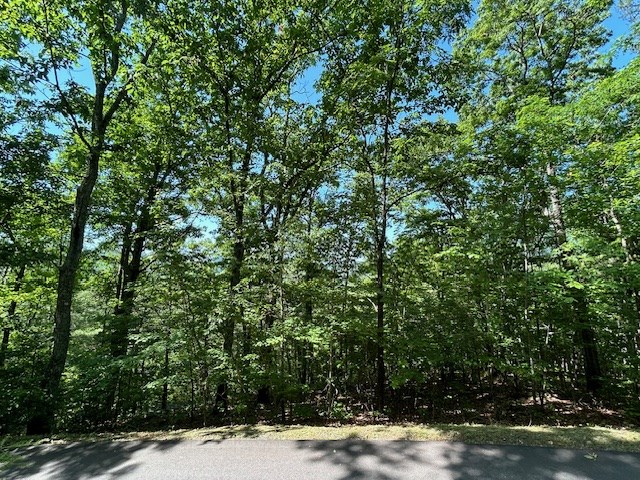 404218 Hayesville Land