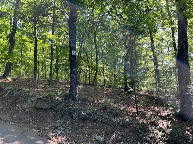 404218 Hayesville Land
