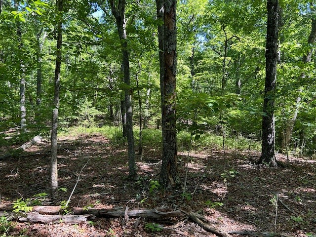 404218 Hayesville Land