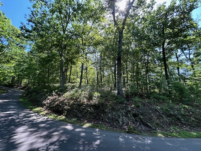 404218 Hayesville Land
