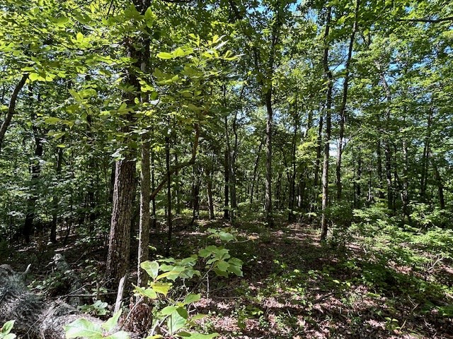 404218 Hayesville Land