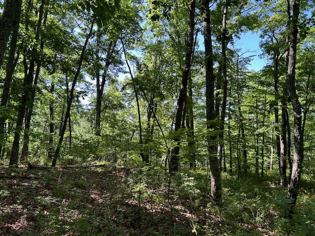 404218 Hayesville Land