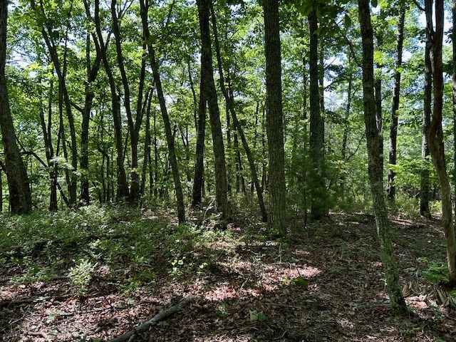 404218 Hayesville Land