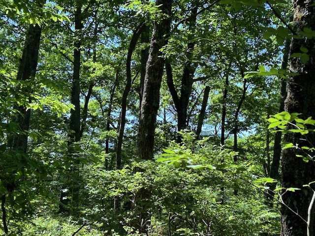 404218 Hayesville Land