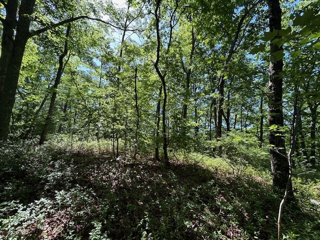 404218 Hayesville Land