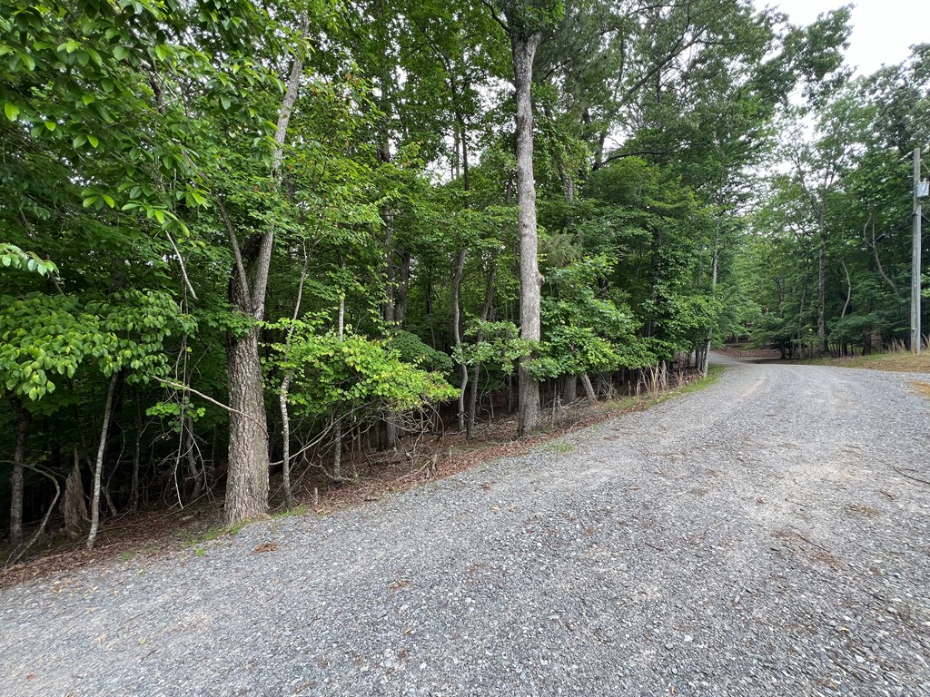 404221 Ellijay Land