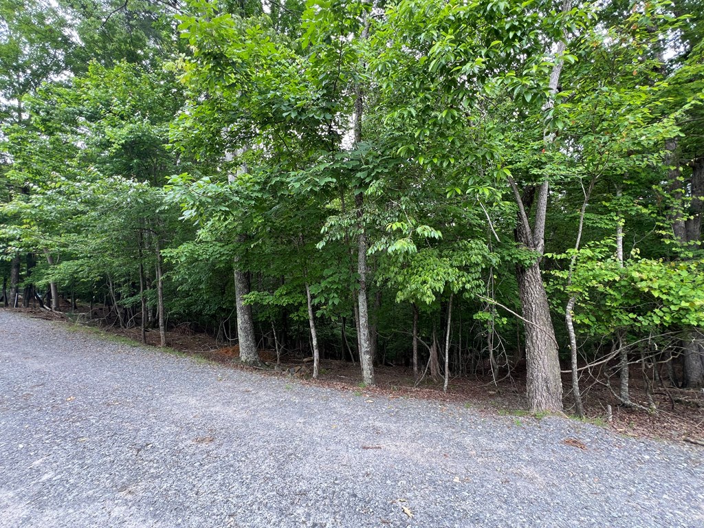 404221 Ellijay Land