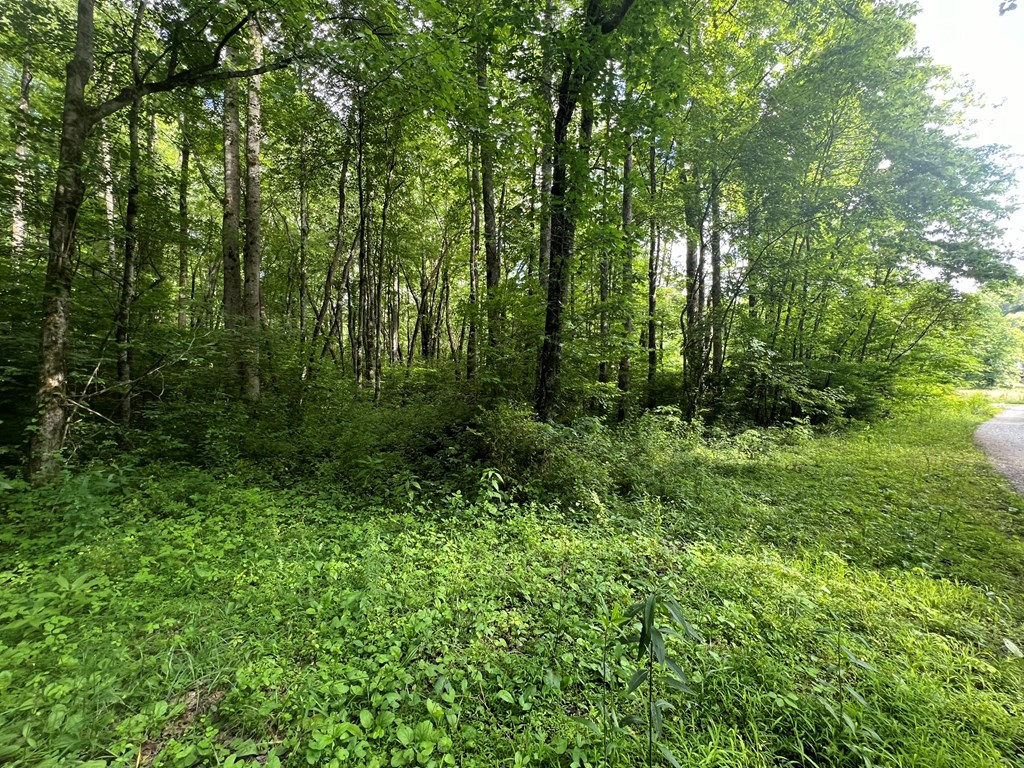 404237 Andrews Land