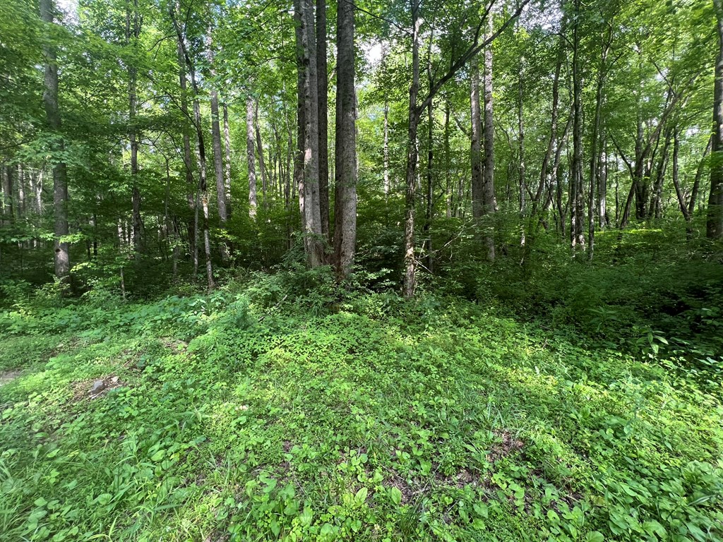 404237 Andrews Land