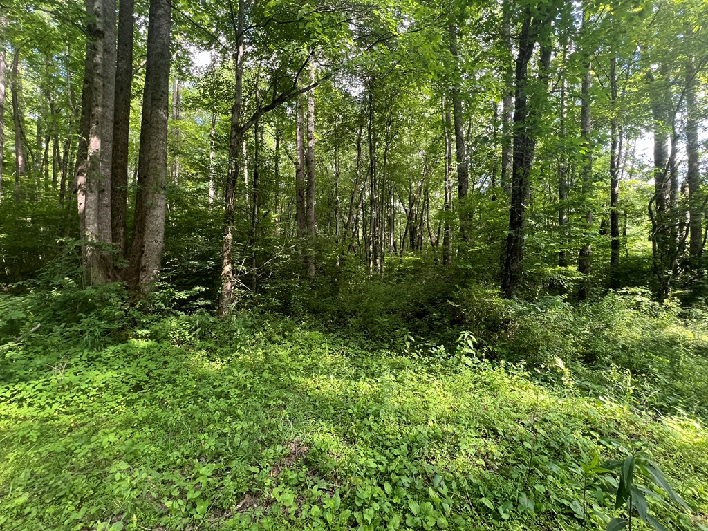 404237 Andrews Land