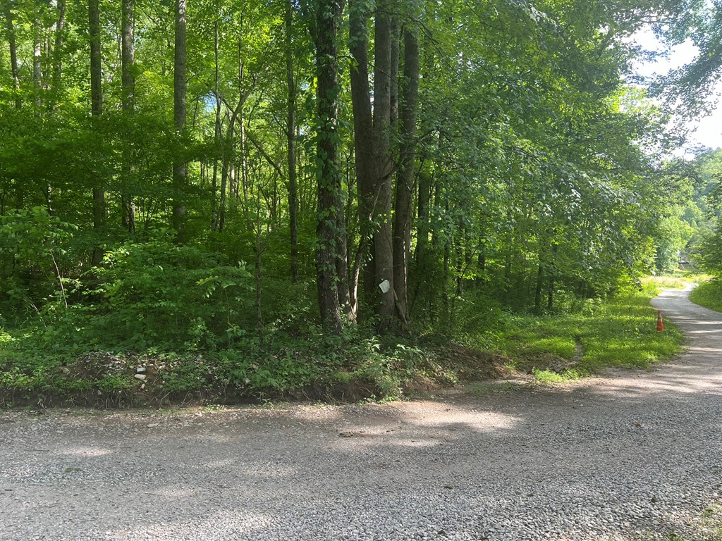 404237 Andrews Land