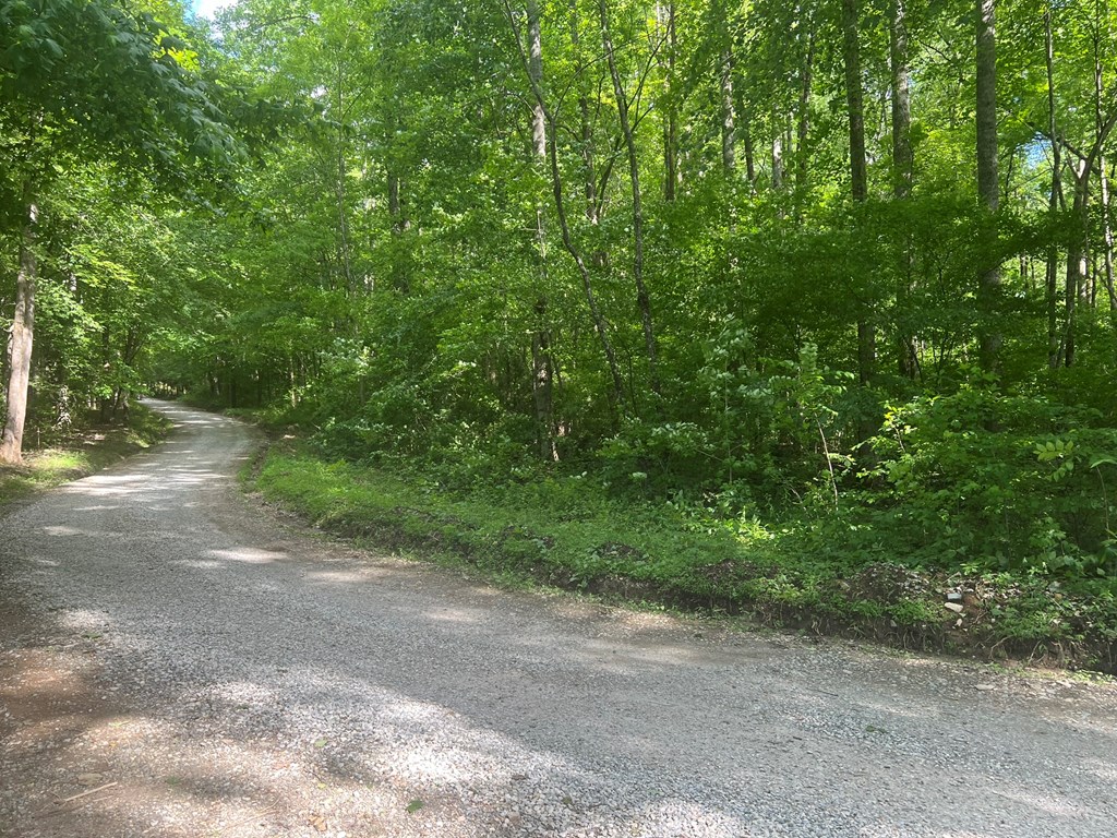 404237 Andrews Land