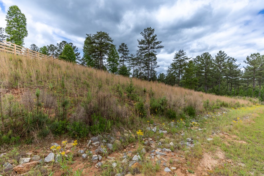 404245 Blairsville Land