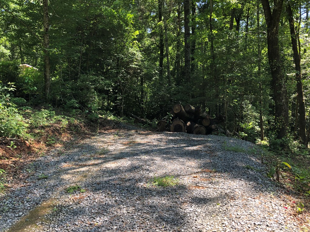 404313 Ellijay Land