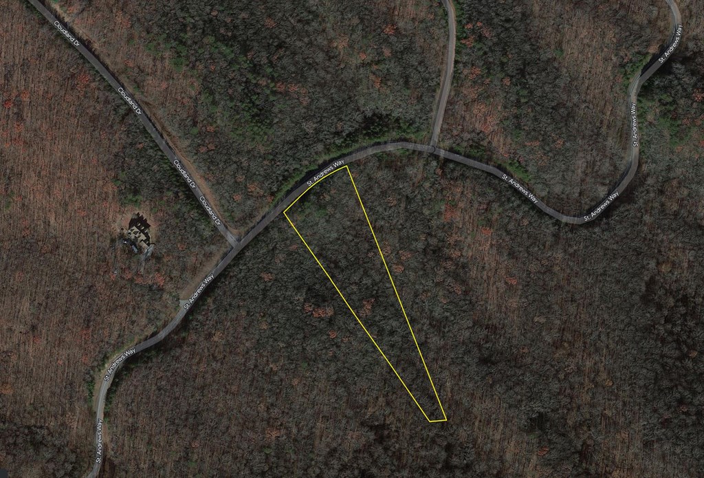 404347 Ellijay Land