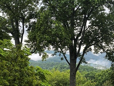 404373 Hiawassee Land