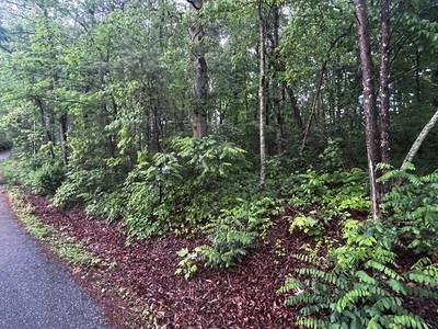 404373 Hiawassee Land