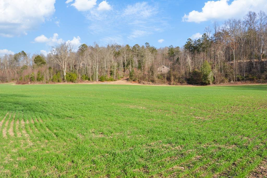 404423 Ellijay Land