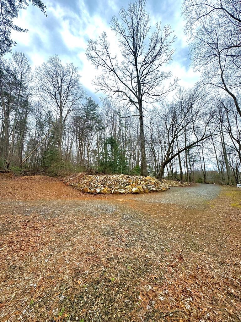 404423 Ellijay Land