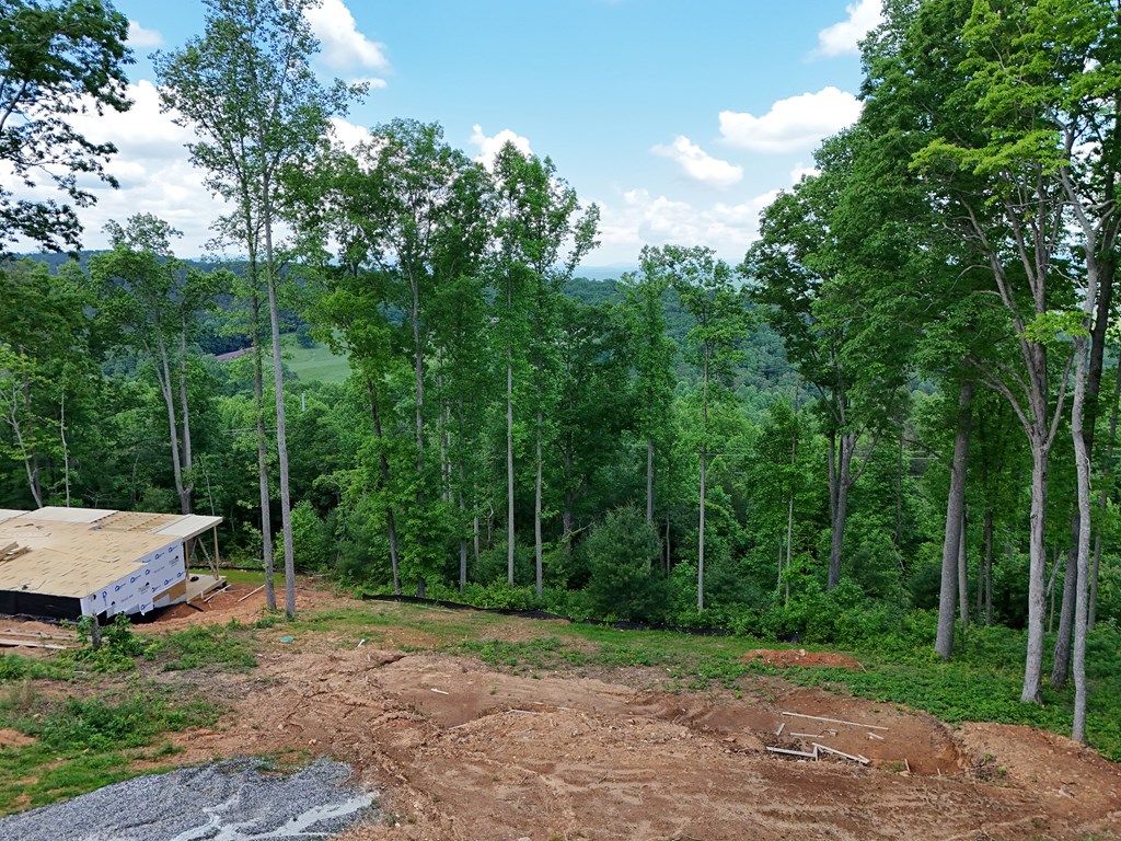 404434 Blairsville Land