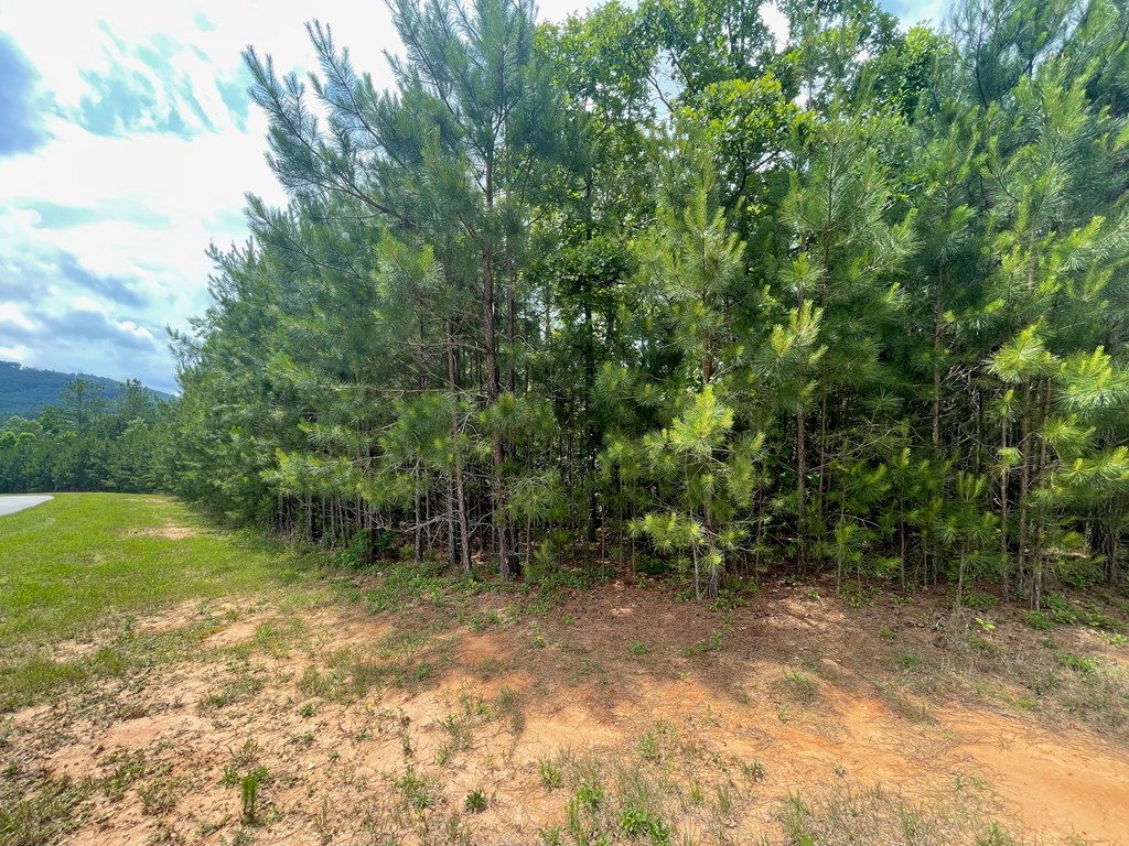 404435 Blairsville Land