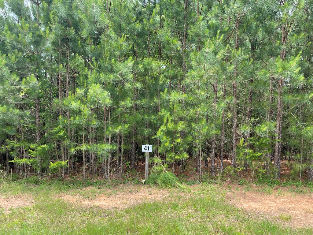 404435 Blairsville Land