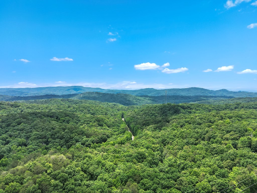 404558 Ellijay Residential