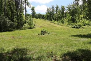 404653 Ellijay Land