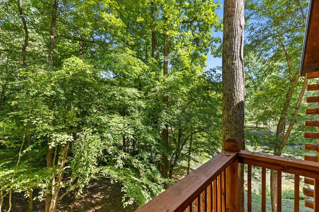 404911 Ellijay Residential